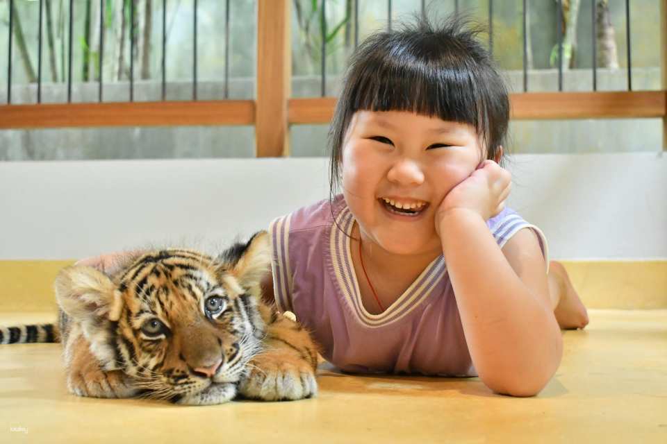 Tiger Park Big Buddha Phuket | Thailand