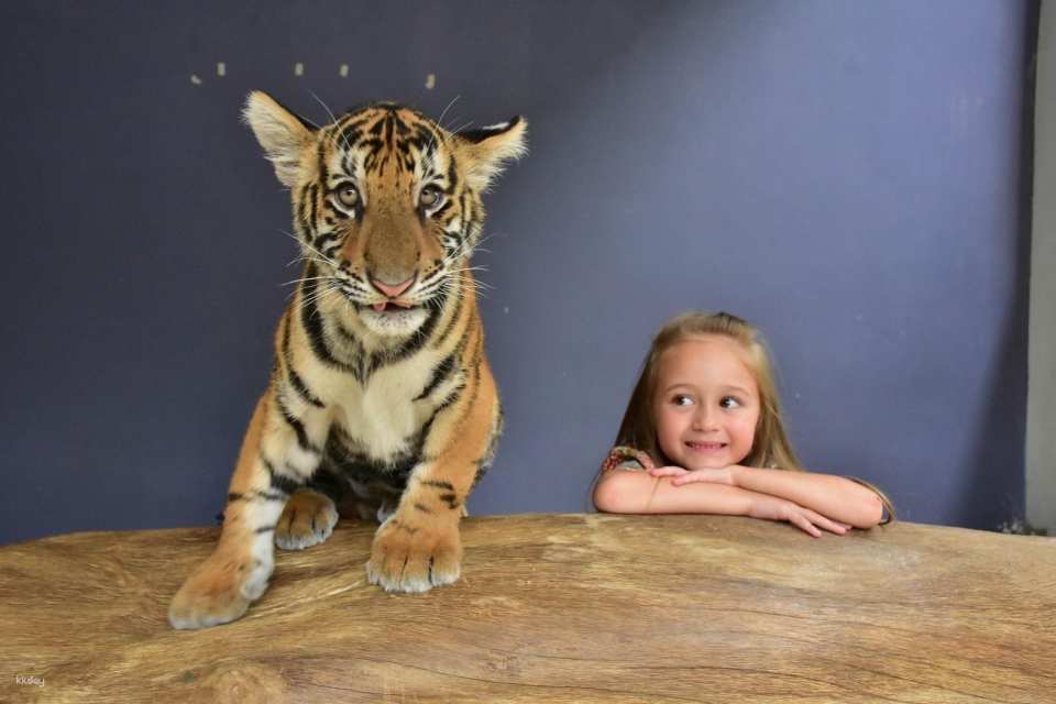 Tiger Park Pattaya Admission Ticket | Thailand