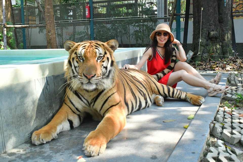 Tiger Park Pattaya Admission Ticket | Thailand