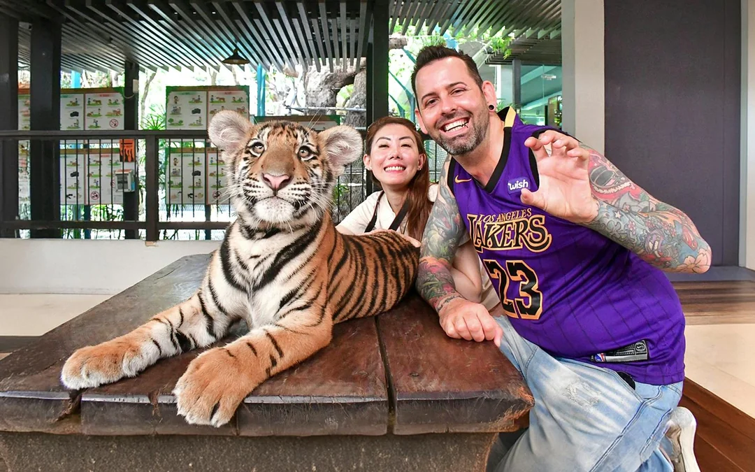 Tiger Park Tickets: Non-Thai Residents Image 1