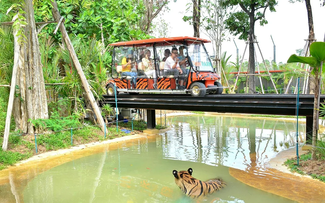 Tiger Park Tickets: Non-Thai Residents Image 5
