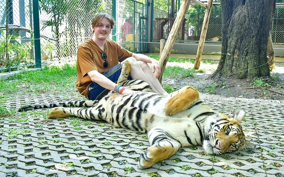 Tiger Park Tickets: Non-Thai Residents Image 7