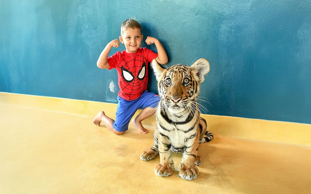 Tiger Park Tickets with Tiger Interactions: Non-Thai Residents Image 5