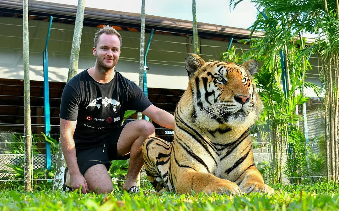 Tiger Park Tickets with Tiger Interactions Image 2