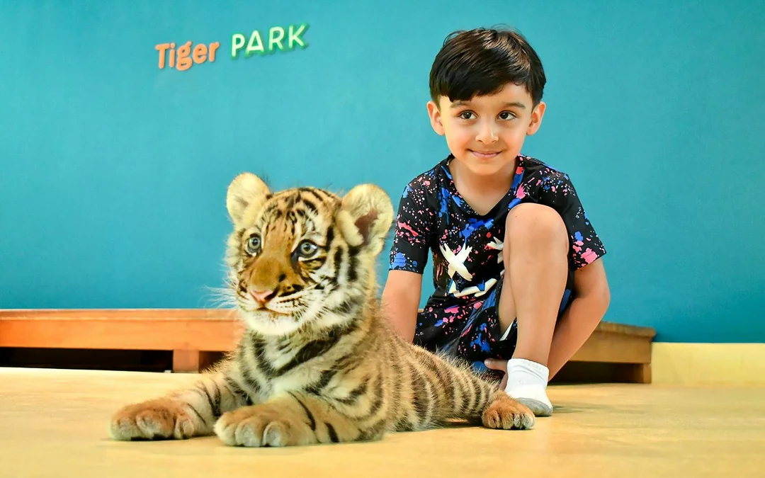Tiger Park Tickets with Tiger Interactions Image 3