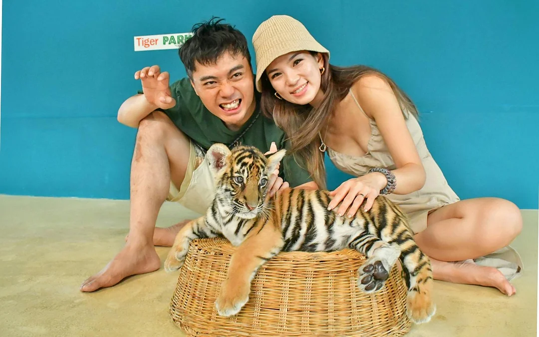 Tiger Park Tickets with Tiger Interactions Image 8