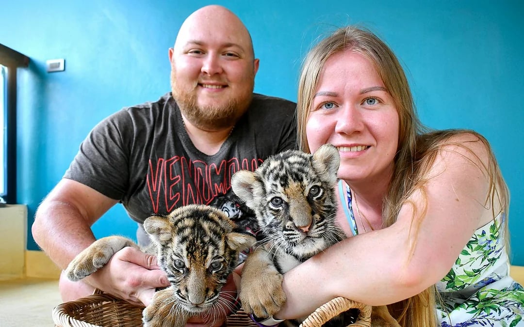 Tiger Park Tickets with Tiger Play Packages: Non-Thai Residents Image 2