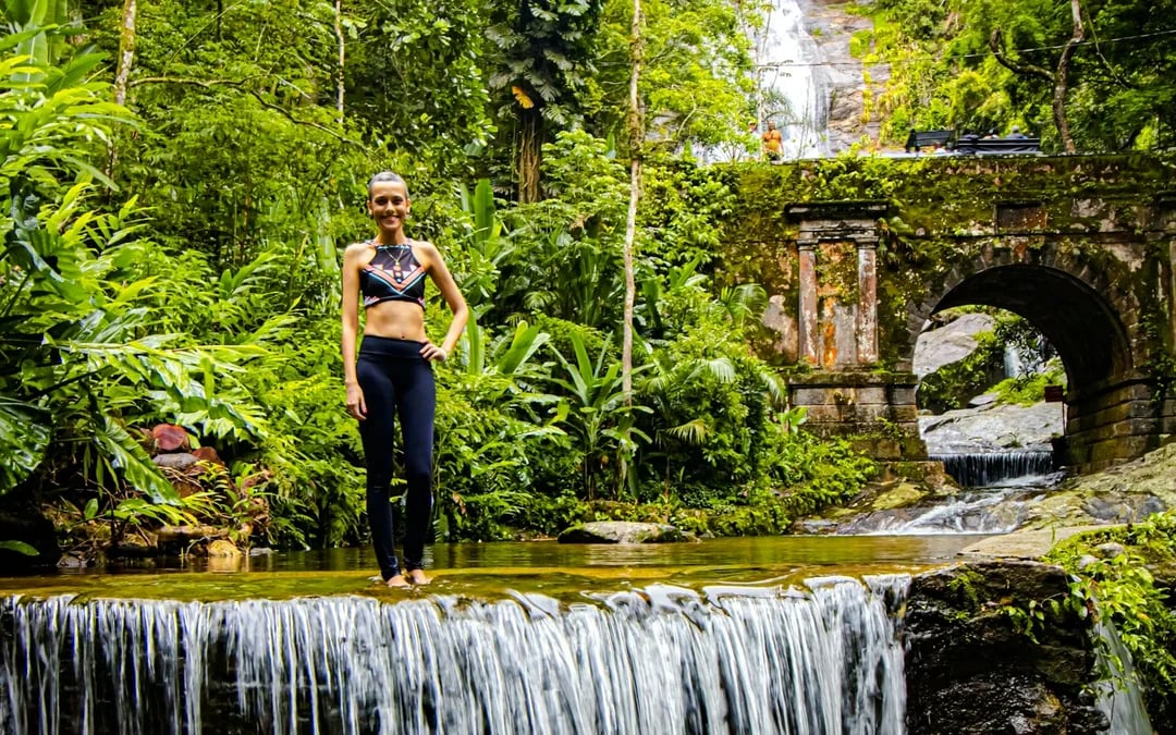 Tijuca Forest Guided Tour with Round-Trip Hotel Transfers Image 1
