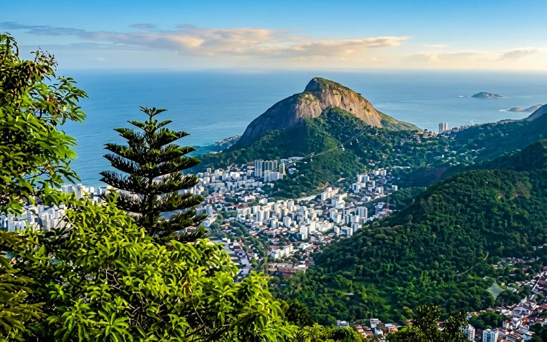 Tijuca Forest Guided Tour with Round-Trip Hotel Transfers Image 3