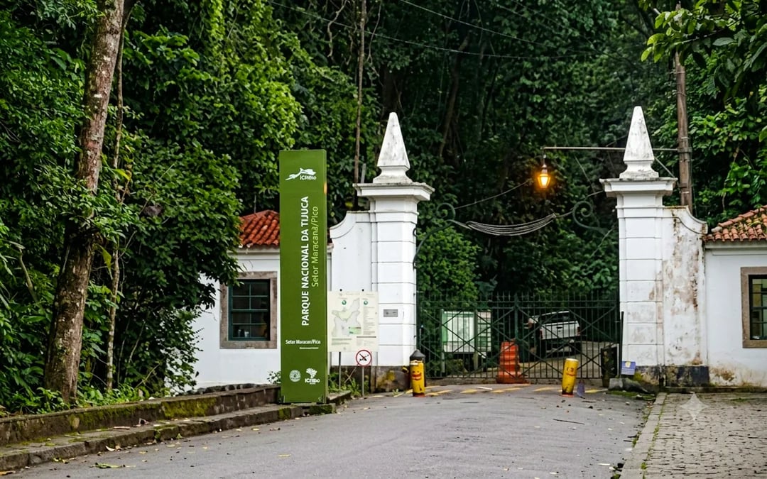 Tijuca Forest Guided Tour with Round-Trip Hotel Transfers Image 6