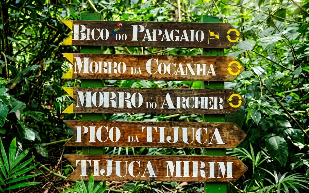 Tijuca Forest Guided Tour with Round-Trip Hotel Transfers Image 7