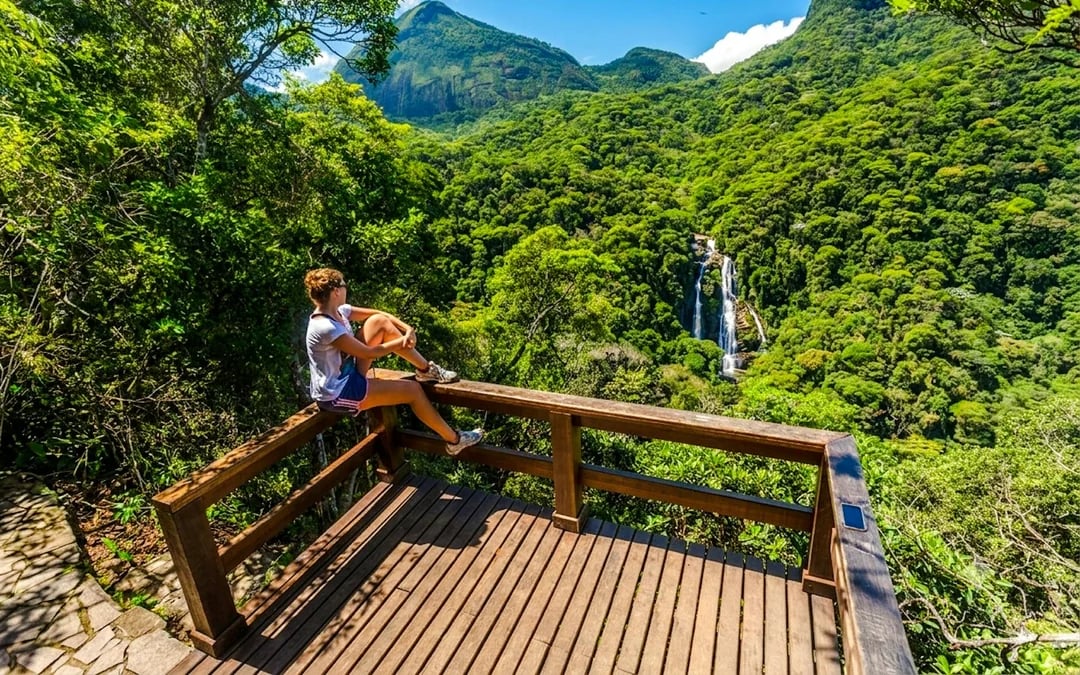 Tijuca Forest Guided Tour with Round-Trip Hotel Transfers Image 8