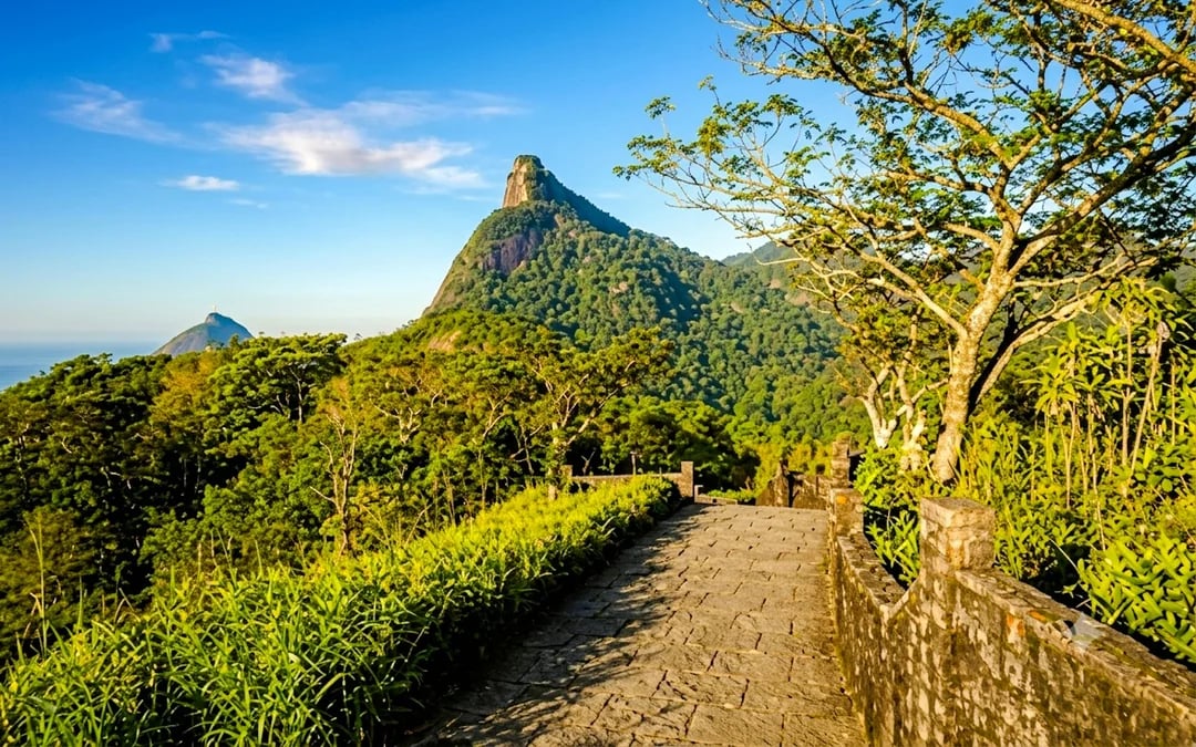 Tijuca Forest Guided Tour with Round-Trip Hotel Transfers Image 9