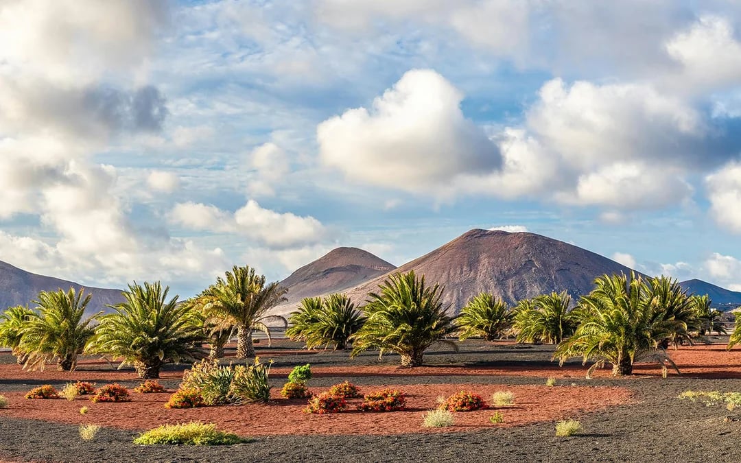 Timanfaya National Park Trekking Tour Image 3