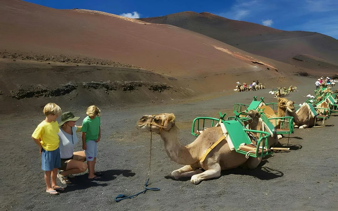 Timanfaya National Park with Transfers Image 3