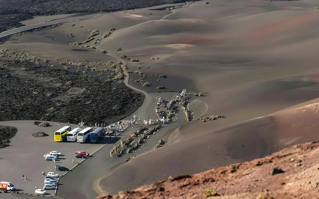 Timanfaya National Park with Transfers Image 10