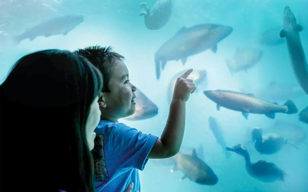 Time Tripper: Hidden Underwater Theatre Experience Tickets Image 5