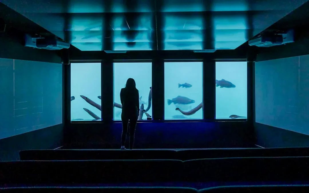 Time Tripper: Hidden Underwater Theatre Experience Tickets Image 6
