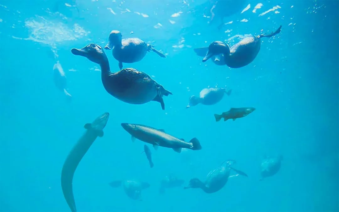 Time Tripper: Hidden Underwater Theatre Experience Tickets Image 7