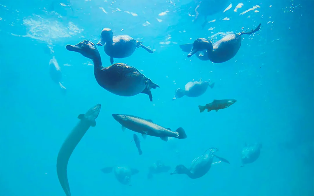 Time Tripper: Hidden Underwater Theatre Experience Tickets Image 7