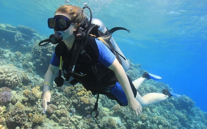 Tiran Island Full Day Snorkeling Sea Trip & intro dive 15 min - Sharm El Sheikh Image 1