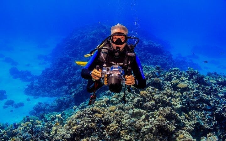 Tiran Island Full Day Snorkeling Sea Trip & intro dive 15 min - Sharm El Sheikh Image 3