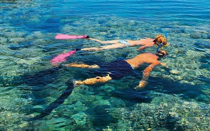 Tiran Island Full Day Snorkeling Sea Trip & intro dive 15 min - Sharm El Sheikh Image 5