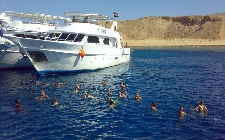 Tiran Island Full Day Snorkeling Sea Trip & intro dive 15 min - Sharm El Sheikh Image 8