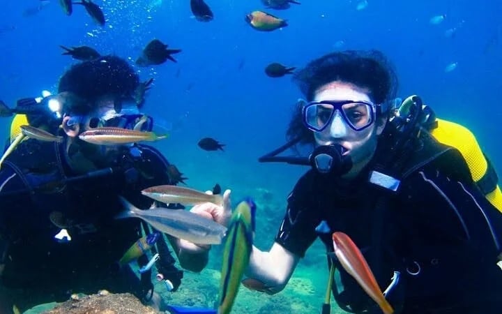 Tiran Island Snorkeling, 2 Dives Boat Sea Trip – Sharm El Sheikh Image 1