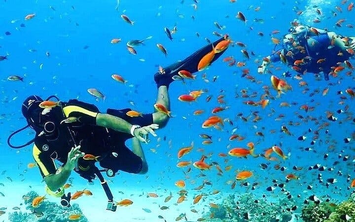Tiran Island Snorkeling, 2 Dives Boat Sea Trip – Sharm El Sheikh Image 2