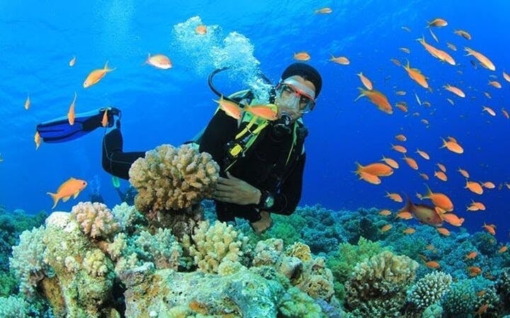 Tiran Island Snorkeling, 2 Dives Boat Sea Trip – Sharm El Sheikh Image 5