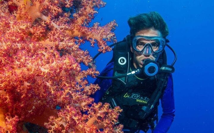 Tiran Island Snorkeling, 2 Dives Boat Sea Trip – Sharm El Sheikh Image 6
