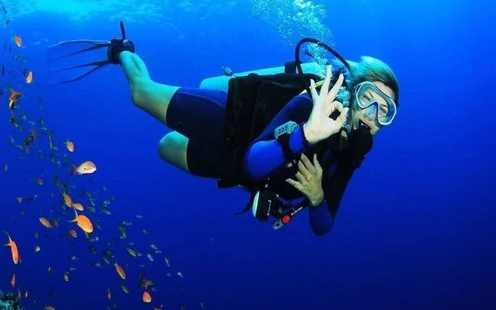 Tiran Island Snorkeling, 2 Dives Boat Sea Trip – Sharm El Sheikh Image 7