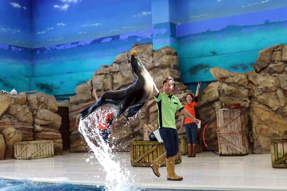 Toba Aquarium Admission Ticket|Japan