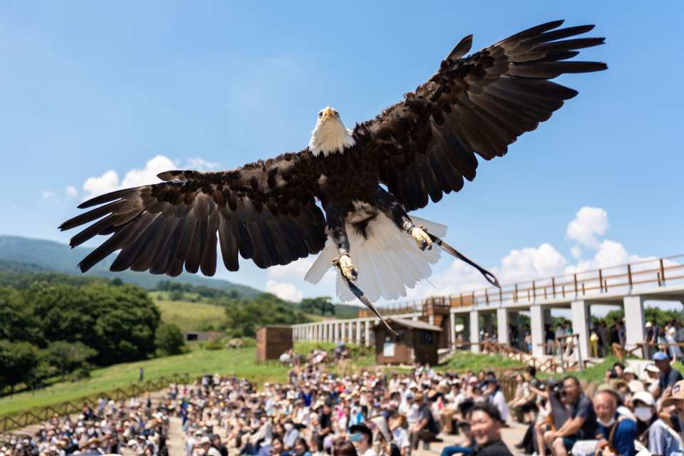 Tochigi, Japan | Nasu Animal Kingdom E-Ticket Reservation [100 yen discount off the local price!]