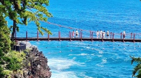 Tokyo 1-day tour to Mt. Omuro + Jogasaki Coast + Ito Marine Town, including free cable car ride at Mt. Omuro