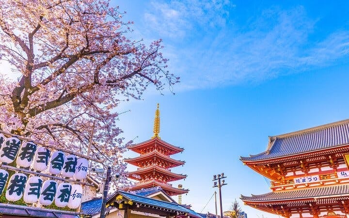 Tokyo Asakusa & Senso-ji Walking Tour with Street Food Tastings and Specialty Shop Visits Image 5