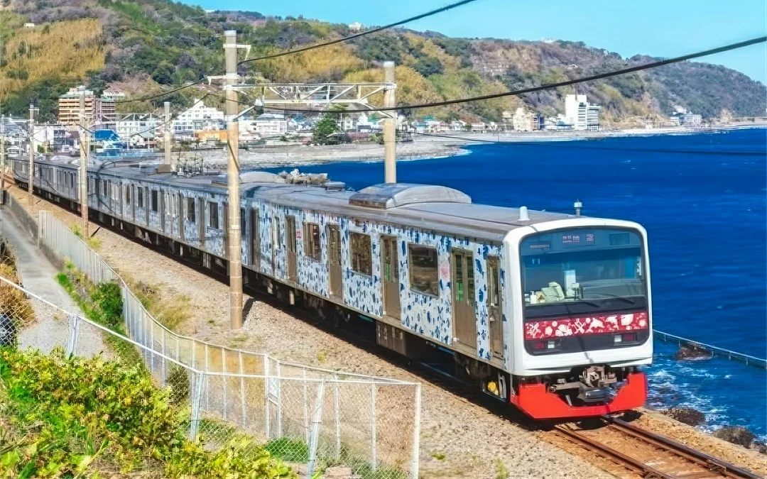 Tokyo Cherry Blossom Day Tour: Kawazu Cherry Blossom Festival and Jogasaki Coast Image 2