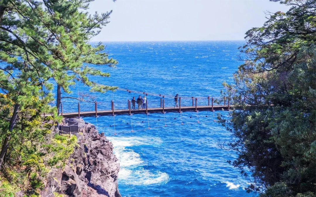 Tokyo Cherry Blossom Day Tour: Kawazu Cherry Blossom Festival and Jogasaki Coast Image 3