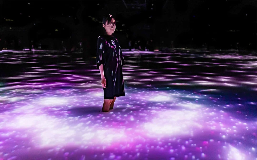 Tokyo City Pass: Free Entry to teamLab Planets & 4 Top Landmarks Image 8