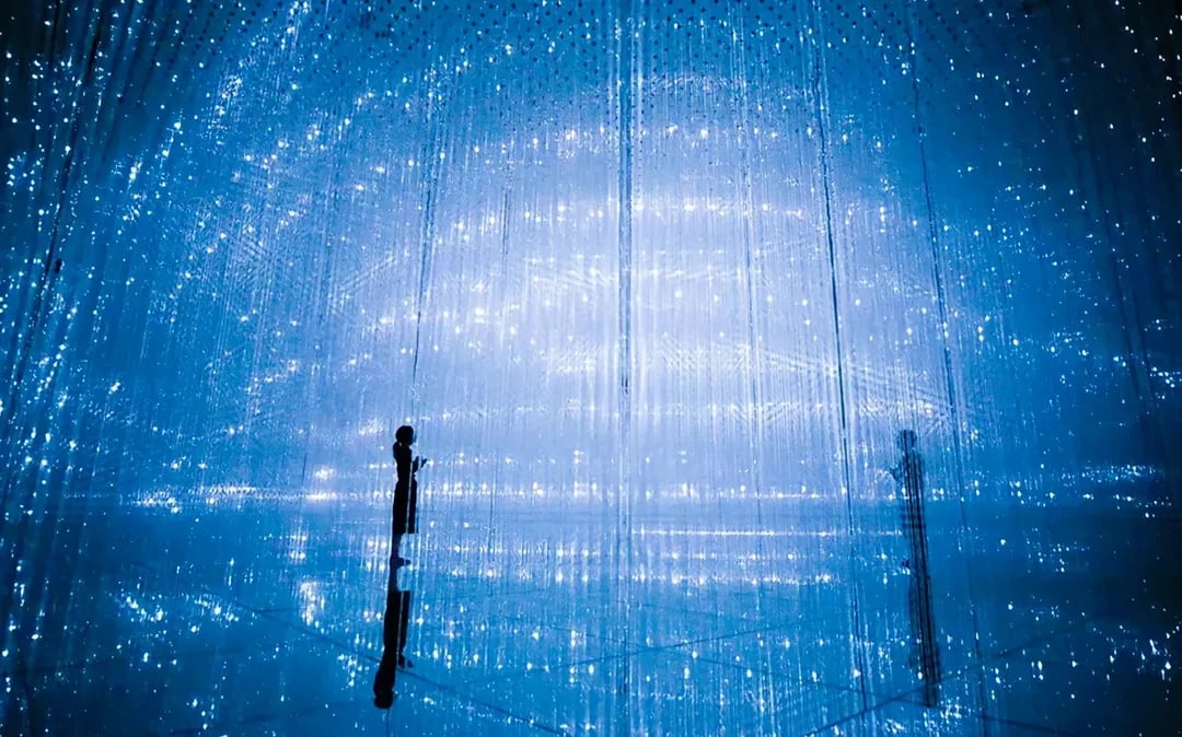 Tokyo City Pass: Free Entry to teamLab Planets & 4 Top Landmarks Image 10
