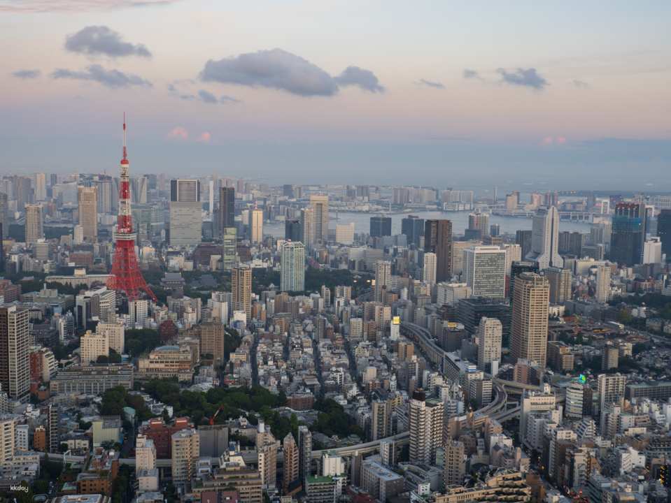 Tokyo City View Ticket at Roppongi Hills Mori Tower (Observatory Deck) | Japan