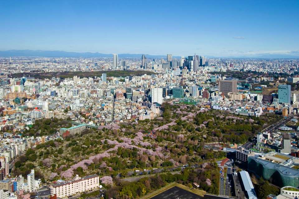 Tokyo City View Ticket at Roppongi Hills Mori Tower (Observatory Deck) | Japan