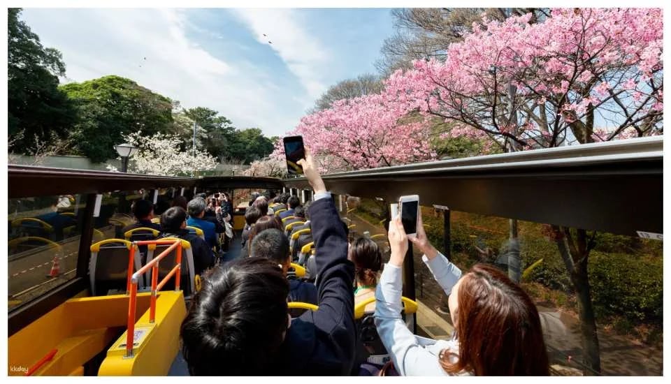 Tokyo Enjoy 1 Week Free Pass