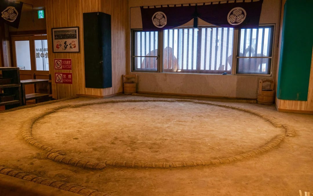 Tokyo: Family Sumo Workshop & Live Wrestling Show with Lunch Image 12