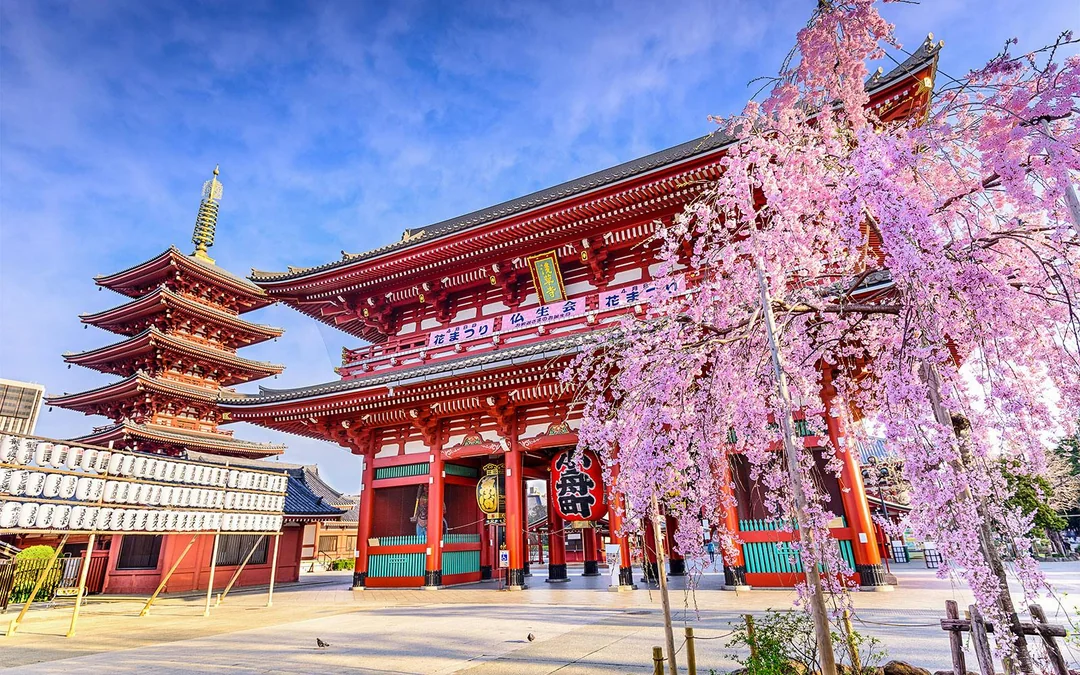 Tokyo Full‑Day City Tour with Tokyo Skytree, Meiji Jingu Shrine, Imperial Palace & More Image 2