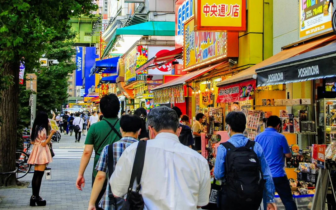 Tokyo Full‑Day City Tour with Tokyo Skytree, Meiji Jingu Shrine, Imperial Palace & More Image 12