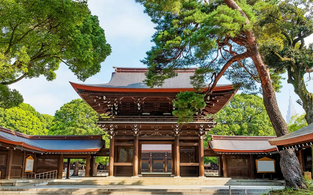 Tokyo Full‑Day City Tour with Tokyo Skytree, Meiji Jingu Shrine, Imperial Palace & More Image 3