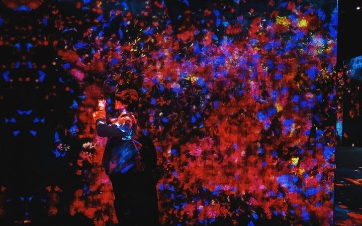 Tokyo Guided Tour: teamLab Borderless Digital Art Museum and Imperial Palace East Gardens Image 2