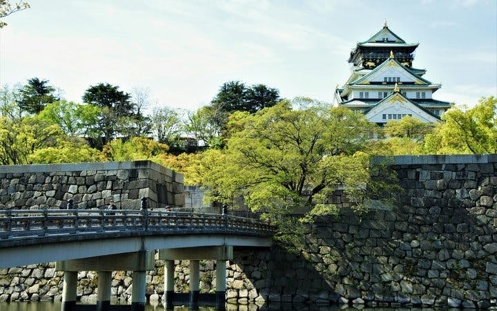 Tokyo Guided Tour: teamLab Borderless Digital Art Museum and Imperial Palace East Gardens Image 3